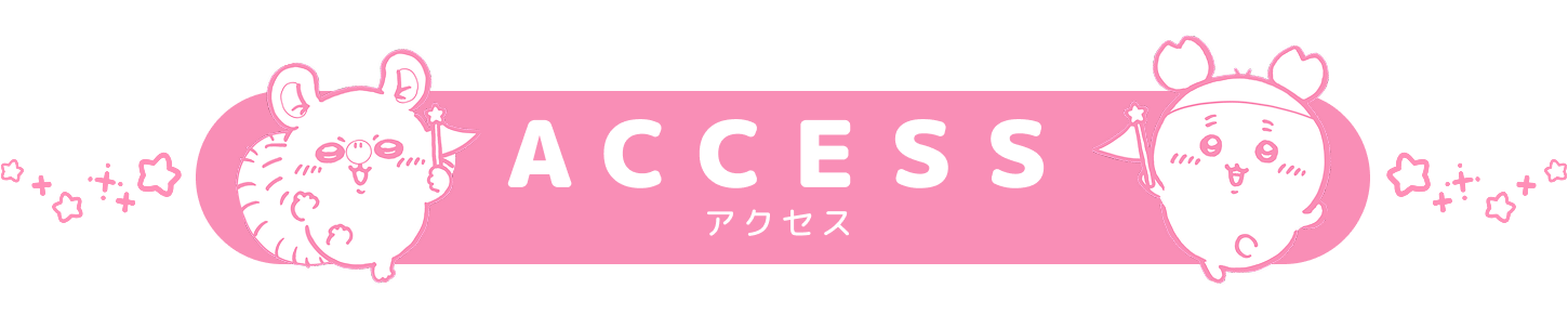 ACCESS